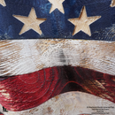 3D WEATHERED & RUSTIC American Flag-5