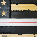 2D SUBDUED CHISELED THIN LINE American Flag (carved stars)-14
