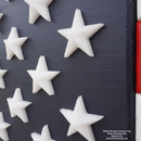 2D BRIGHT American Flag-5