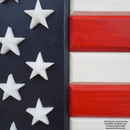 2D VIVID American Flag-5